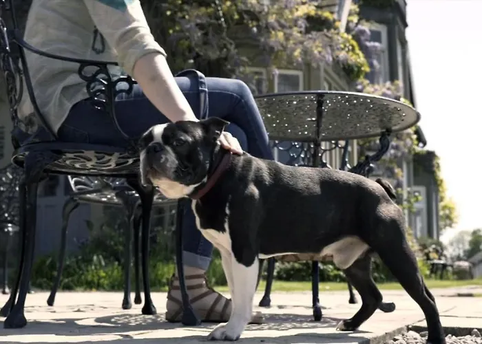 Holbeck Ghyll With Stunning Views